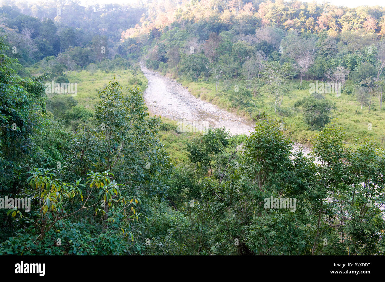 River view Corbett National Park Uttarakhand India Stock Photo