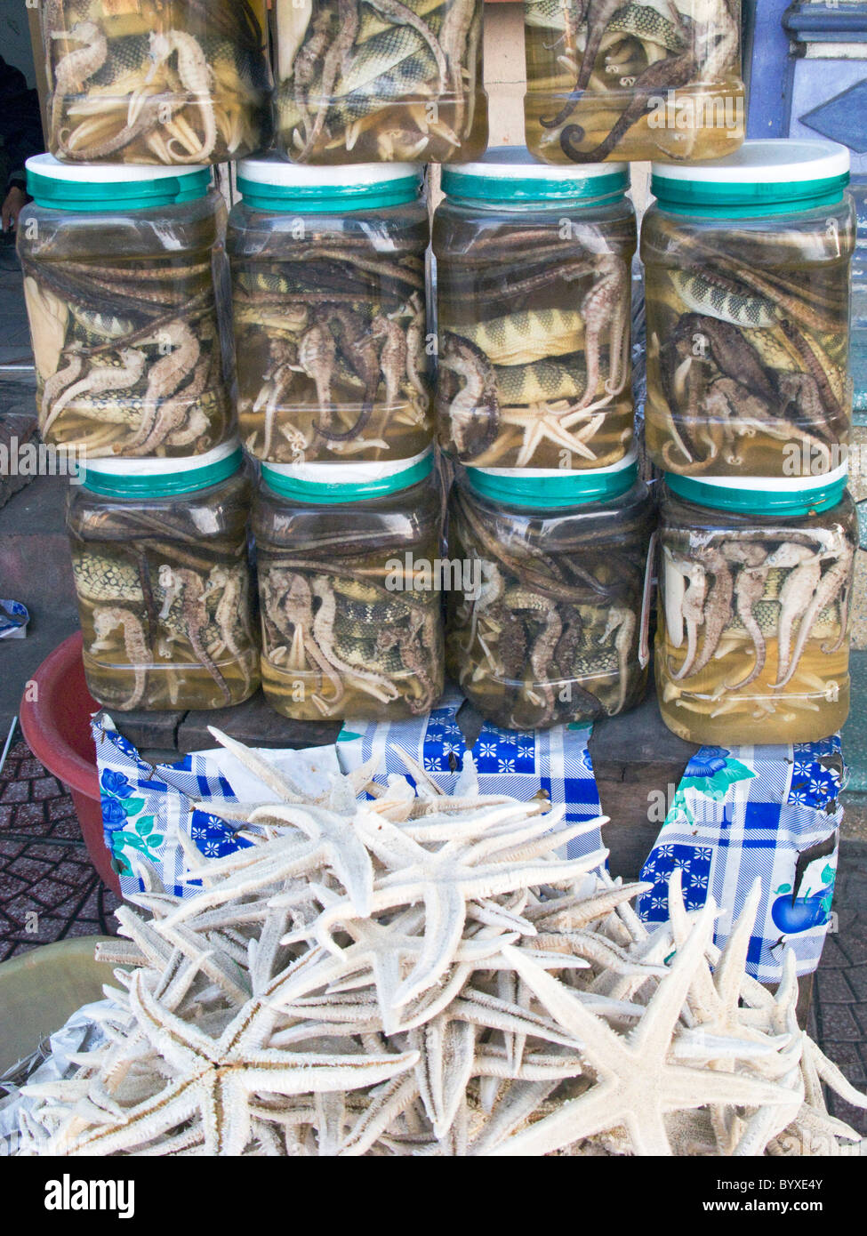 VIETNAM TRADITIONAL MEDICINE FROM SNAKE SKINS' SHOP IN HANOI Photo