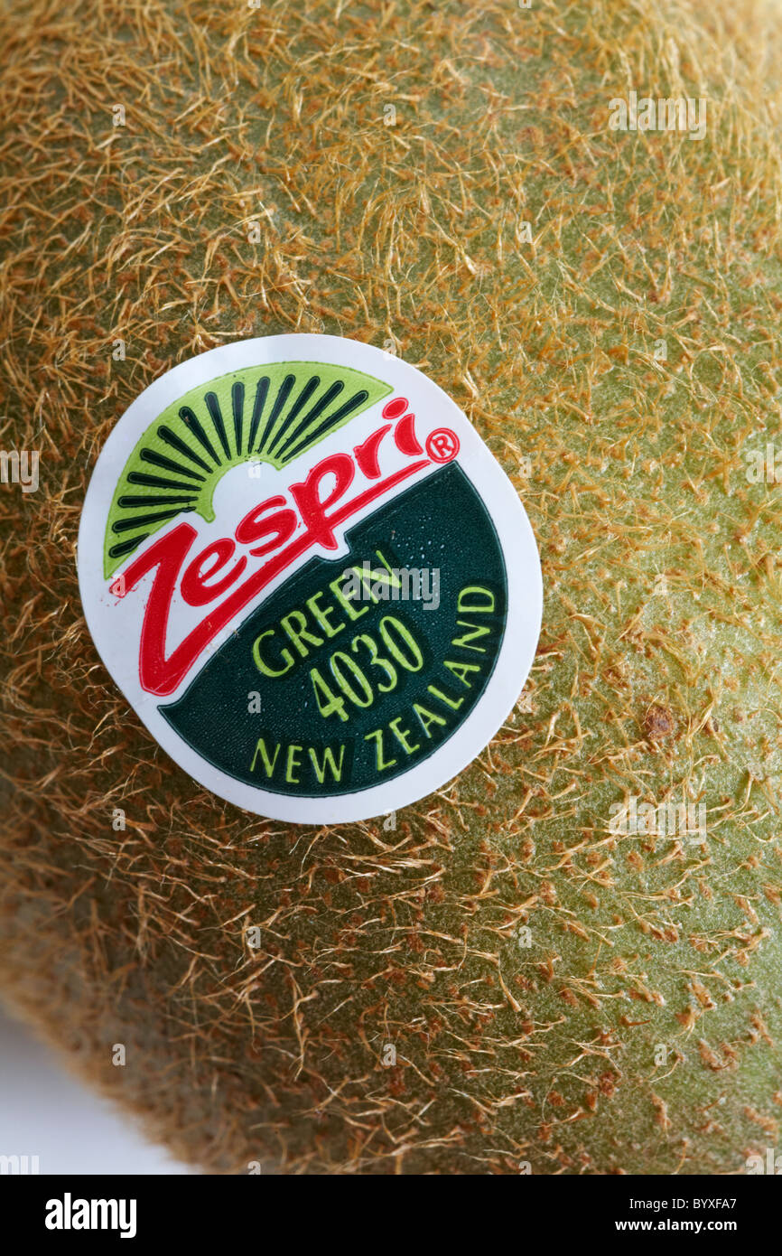 Kiwi Fruit Sticker Kiwi Fruit Sticker