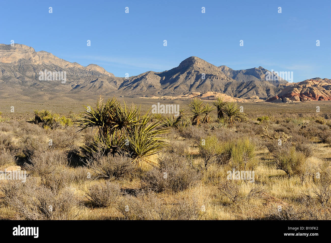 Red Rock Canyon Nevada USA Stock - Red Rock Canyon Nevada Usa BYXFK2 