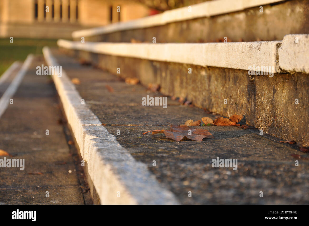 An autumn leaf on some stones steps with white edging leading to a distant view of a period building Stock Photo