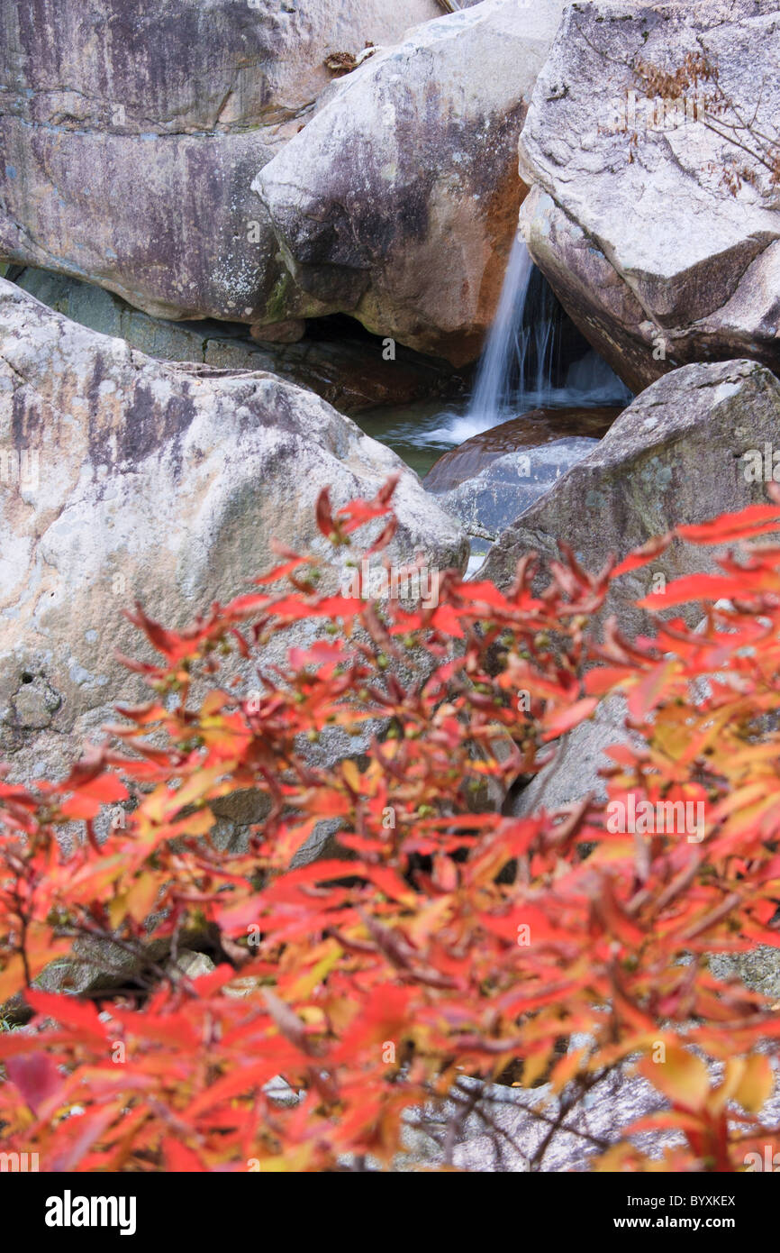 Cheonbul-dong Valley waterfall, Seoraksan National Park, South Korea Stock Photo