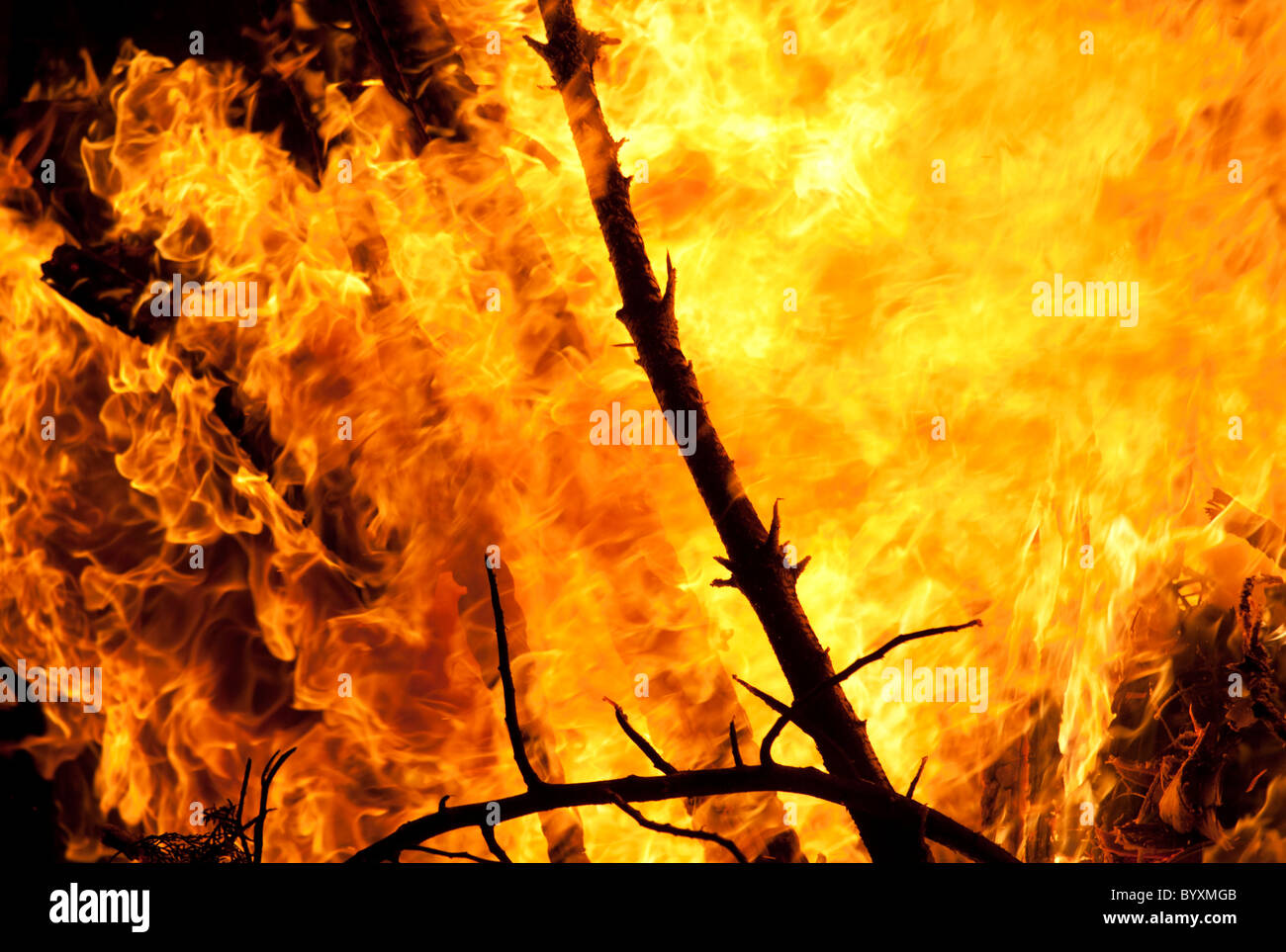Closeup of the blazing orange fire. Stock Photo