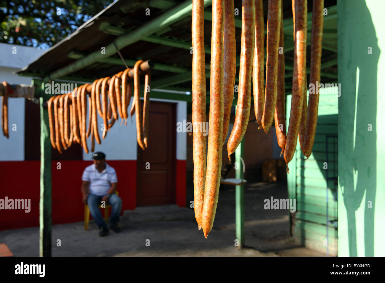 Caribbean, Dominican Republic, sausage vendor, food, market, meat Stock
