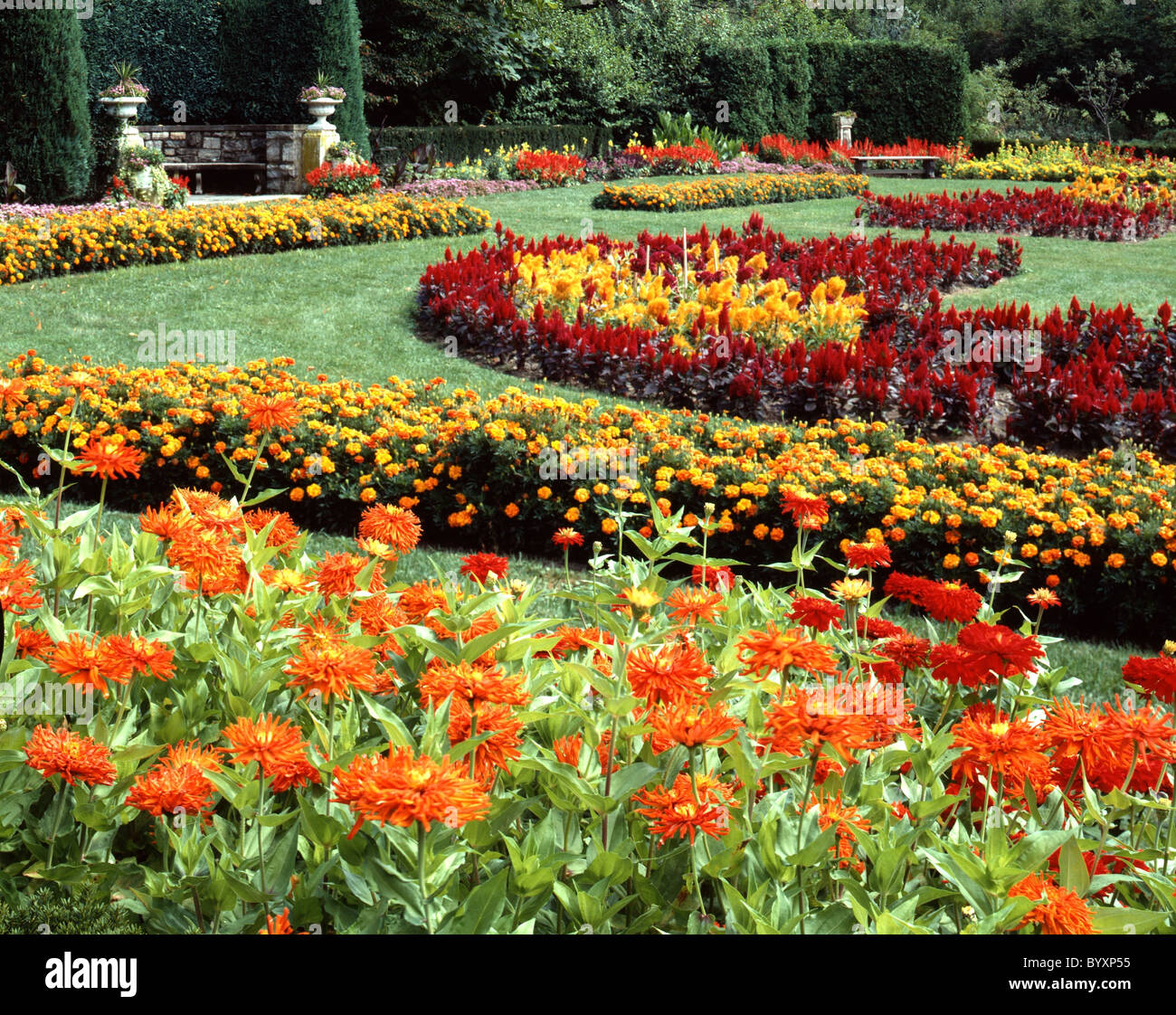warm colors flower garden, nj stock photo: 34394225 - alamy