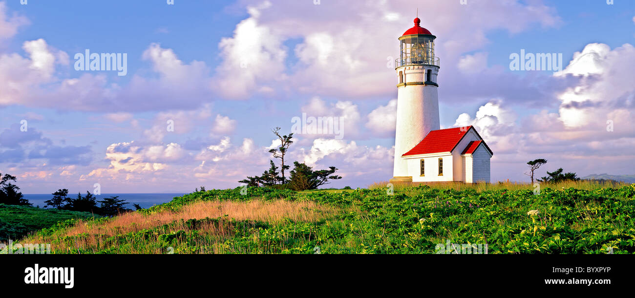 Cape Blanco lighthouse and wildflowers (lupine) with clouds. Oregon Stock Photo