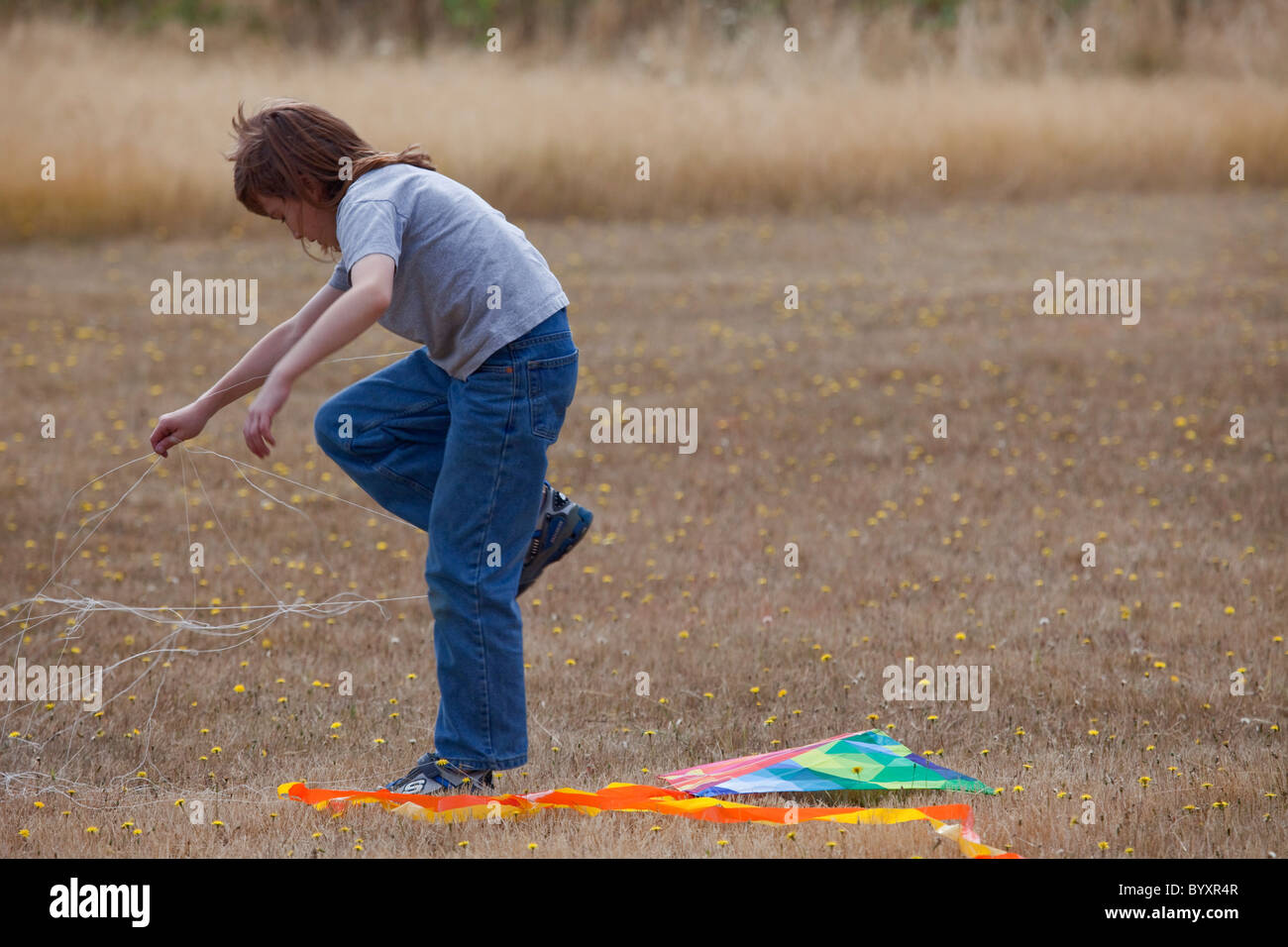 Boy untangling kite string in a field Stock Photo Alamy
