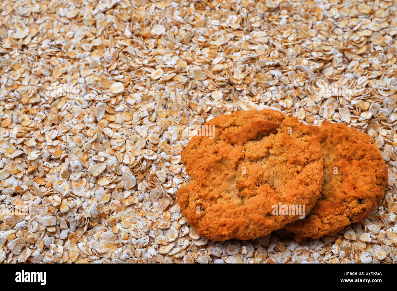 Two oatmeal cookies on bed of oatmeal with copy space. Stock Photo