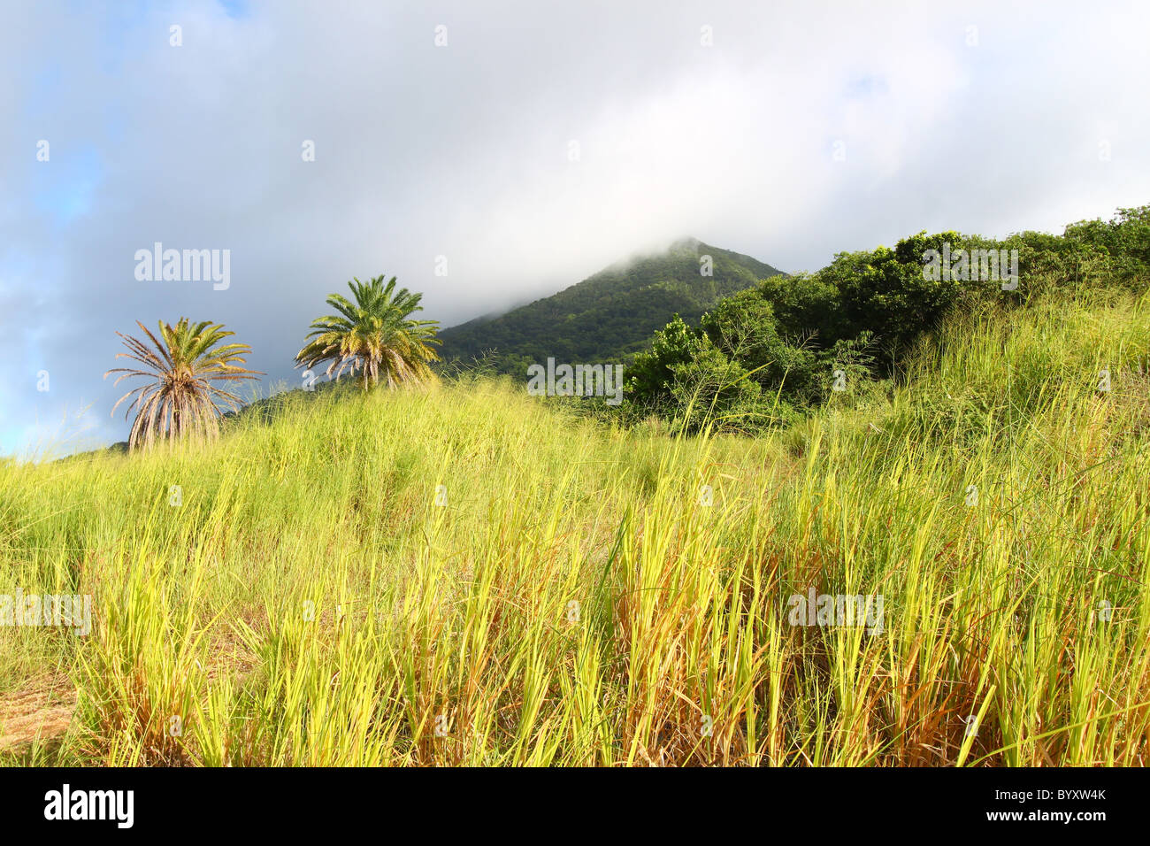 Mount liamuiga st kitts hires stock photography and images Alamy