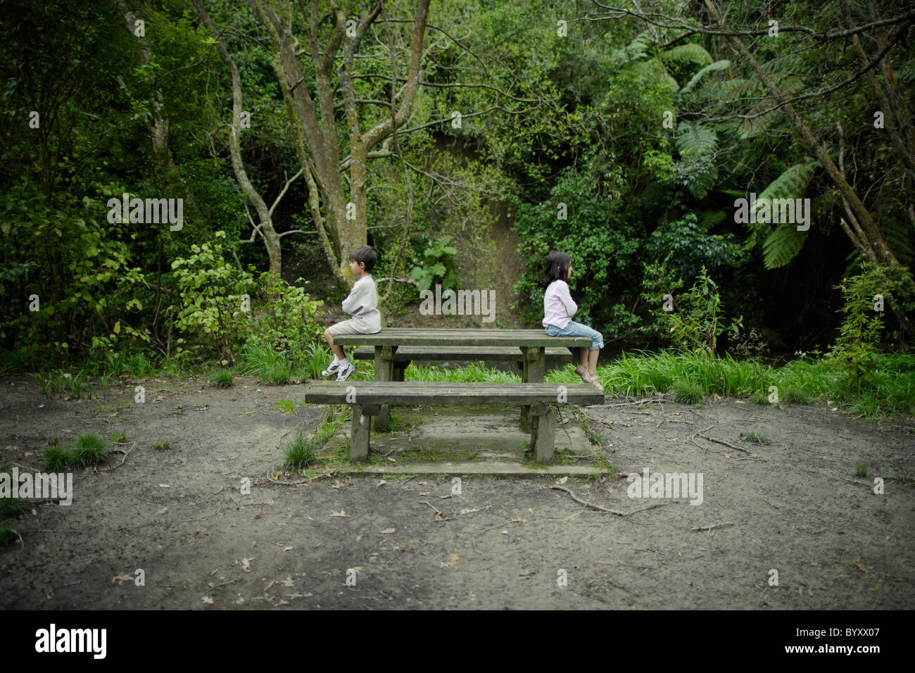 Boy and girl sit facing away from each other on wooden bench in forest, New Zealand. Stock Photo
