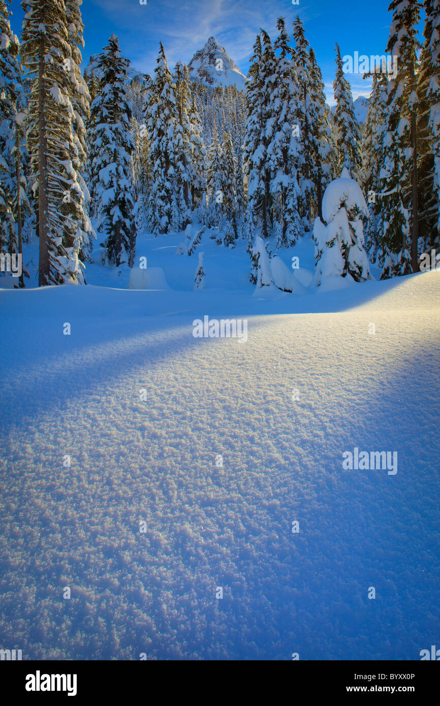 Mount Rainier National Park a winter wonderland in winter, with