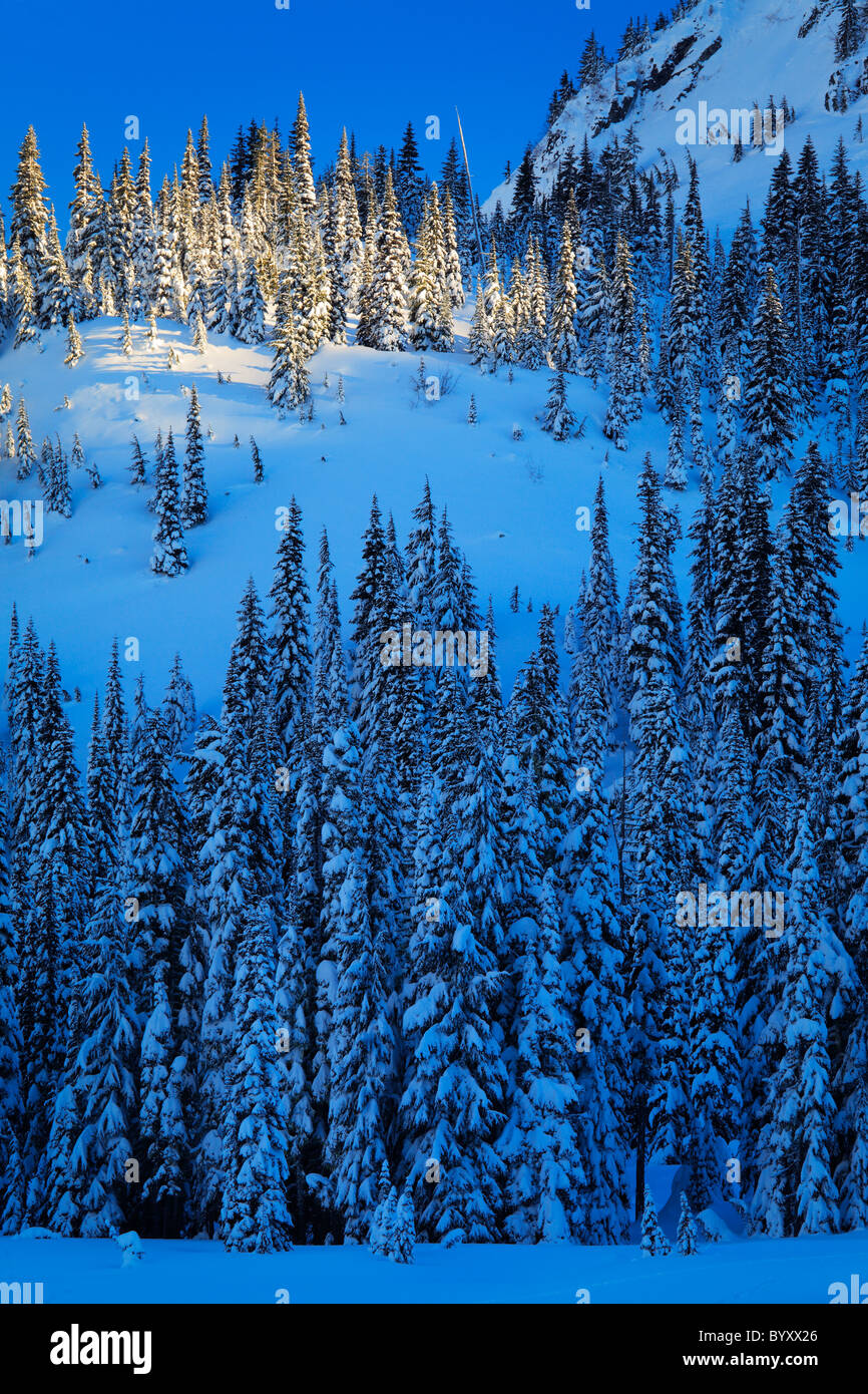 Mount Rainier National Park a winter wonderland in winter, with
