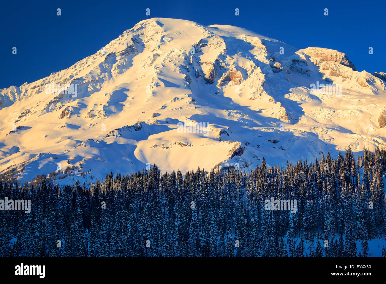 View of the south face of Mount Rainier at  sunset in the midst of winter Stock Photo