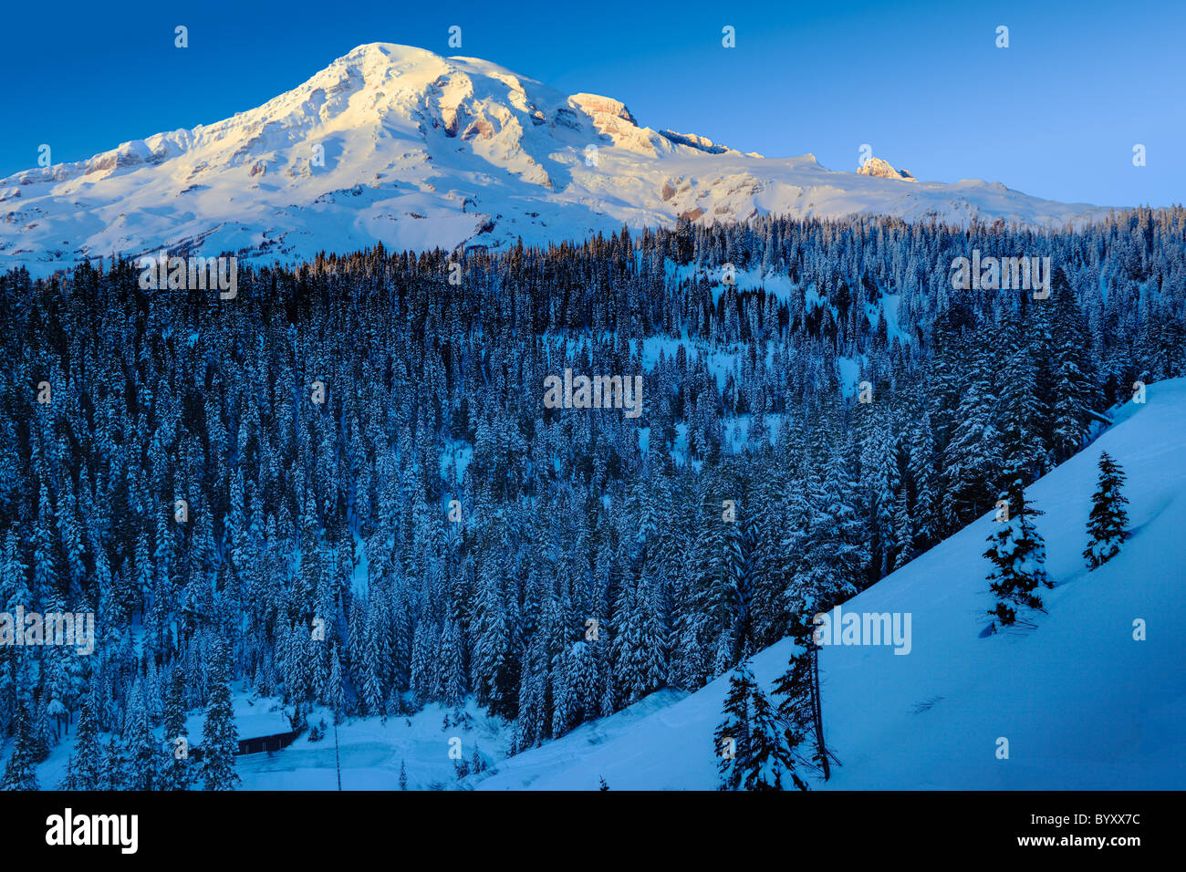 View of the south face of Mount Rainier at  sunset in the midst of winter Stock Photo