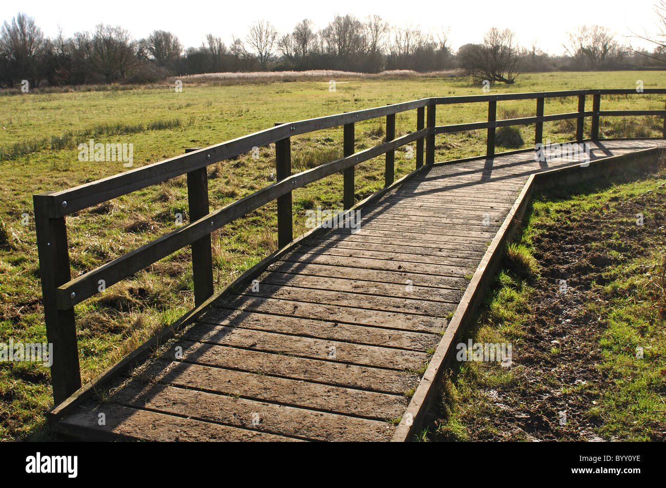 Raised walkway by meadow at Paxton Pits Nature Reserve, Cambridgeshire, England, UK Stock Photo