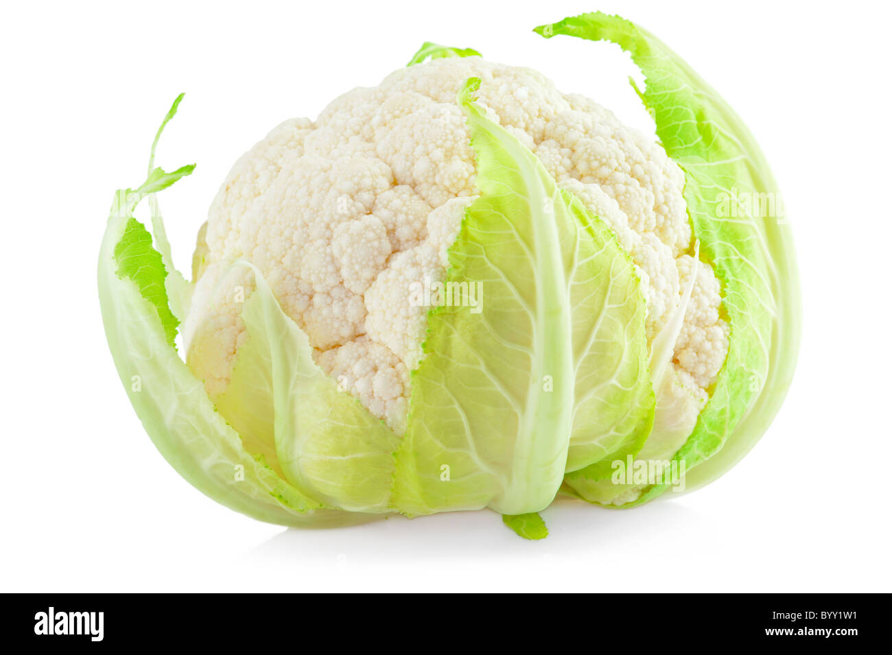 Cauliflower cabbage isolated on white background Stock Photo