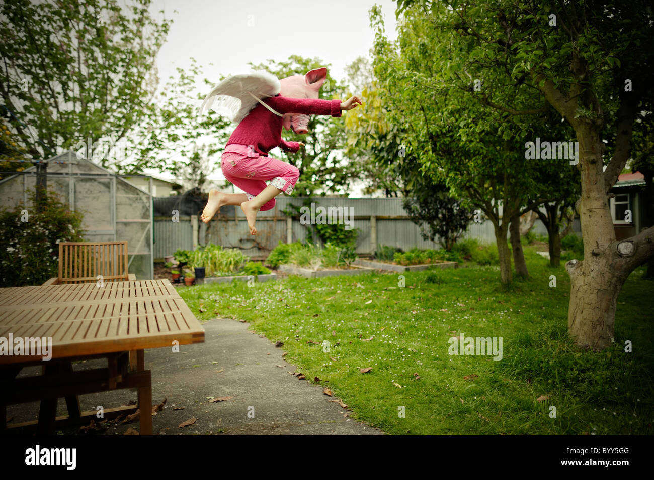 Pig Mask High Resolution Stock Photography and Images Alamy