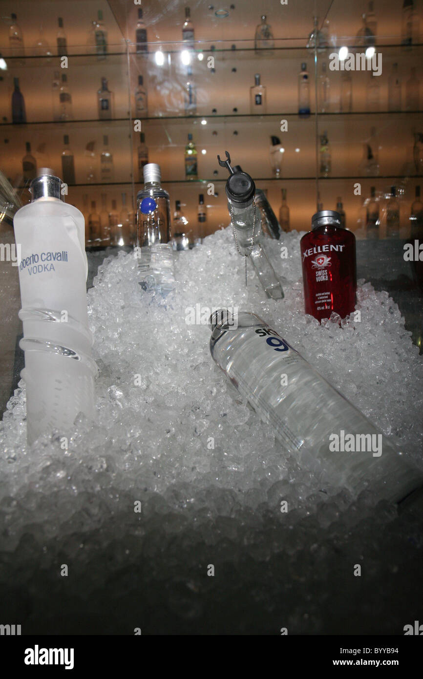 Atmosphere Grand opening of the Icepeak Vodka Lounge. With 150 different  types of vodka and 170 different vodka cocktail drinks Stock Photo - Alamy