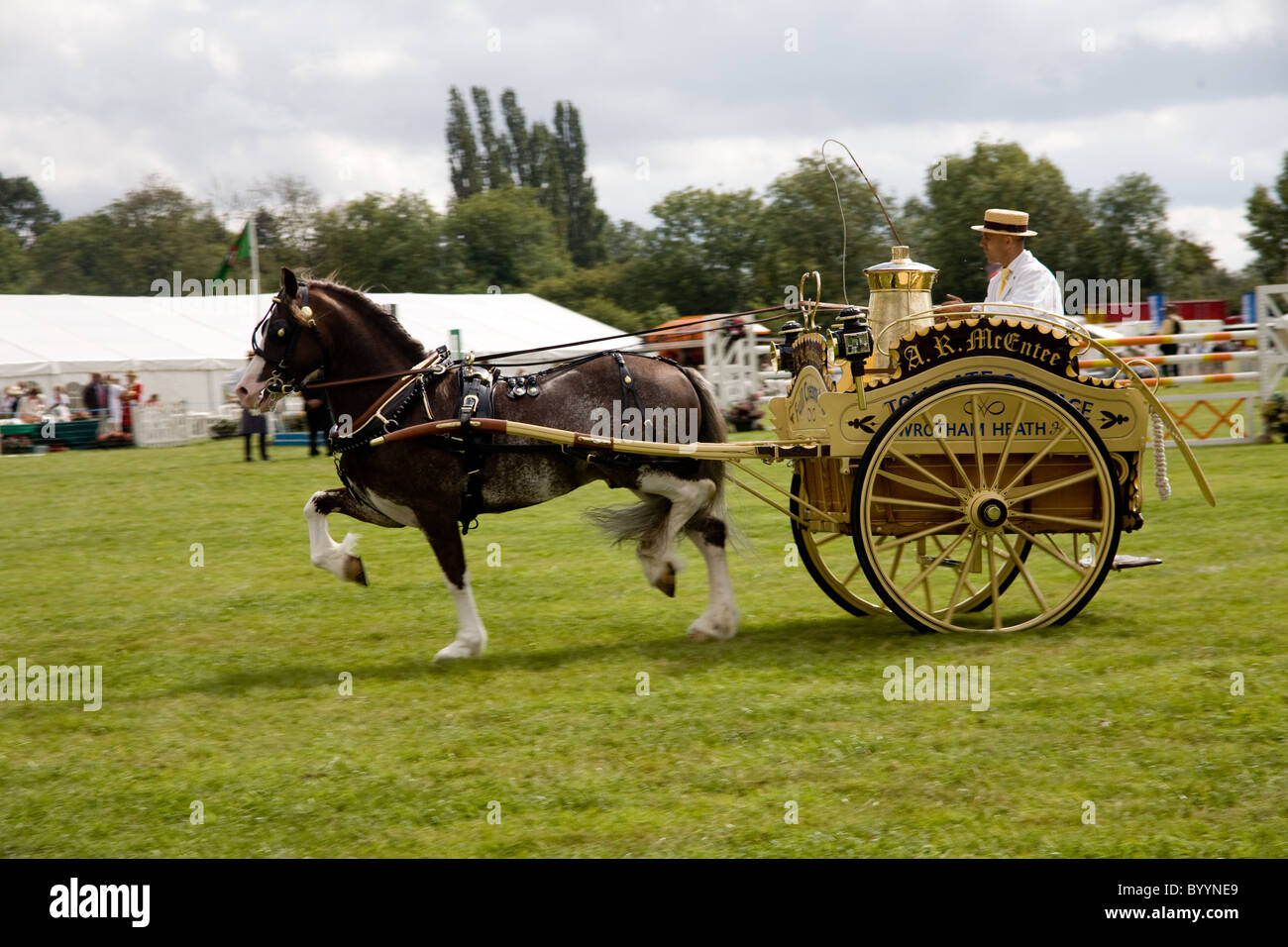 Horse and two wheeled carriage  or milk float at the Bucks County Show, Buckinghamshire, UK Stock Photo