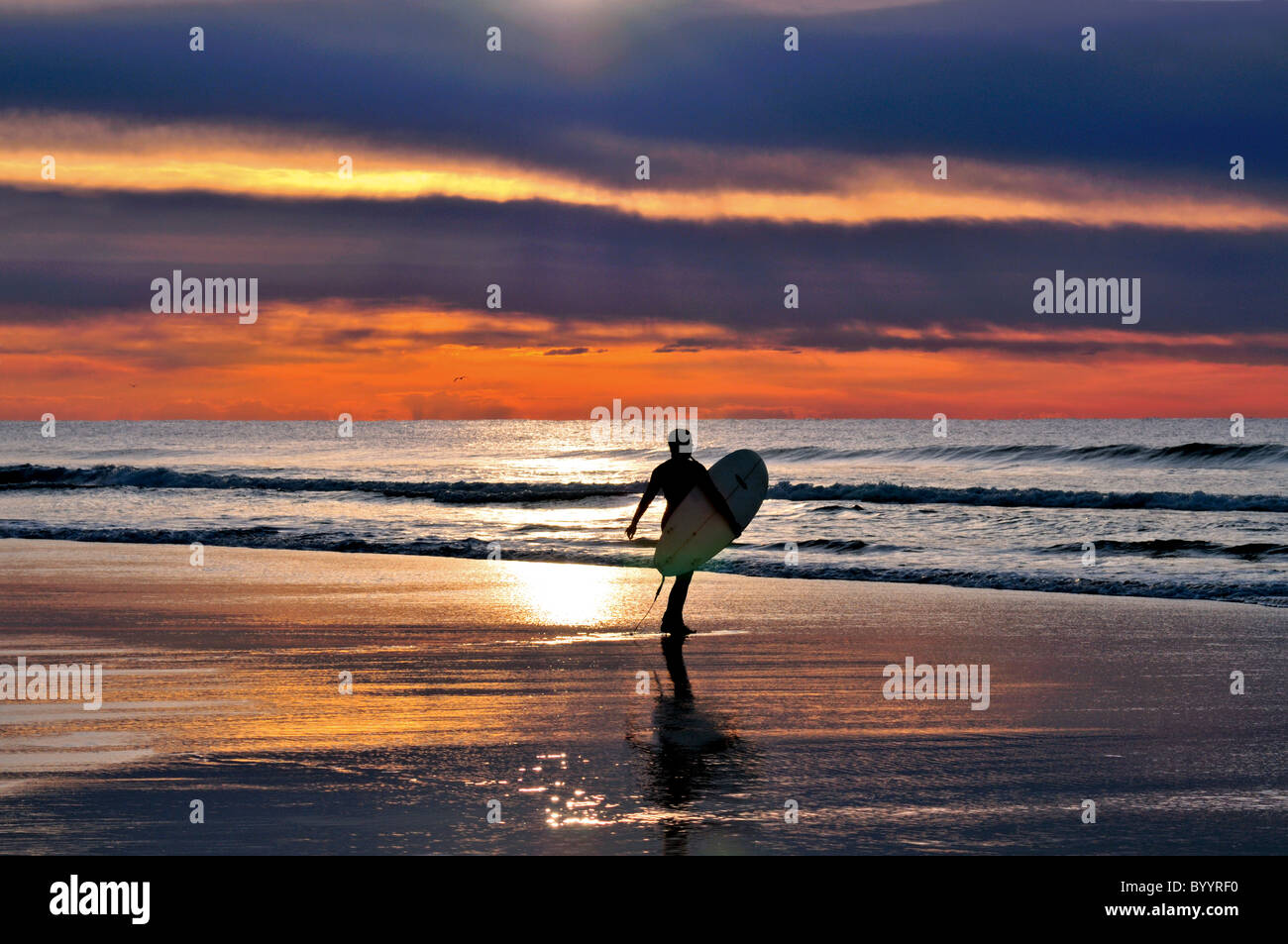 Portugal, Algarve: Surfer at beach Praia do Amado Stock Photo