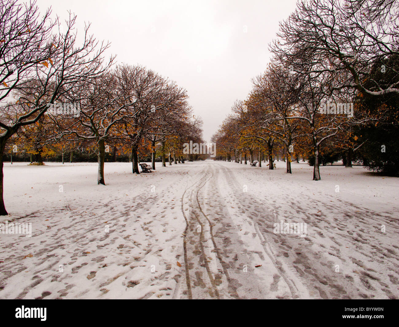 London park after snow hi-res stock photography and images - Alamy