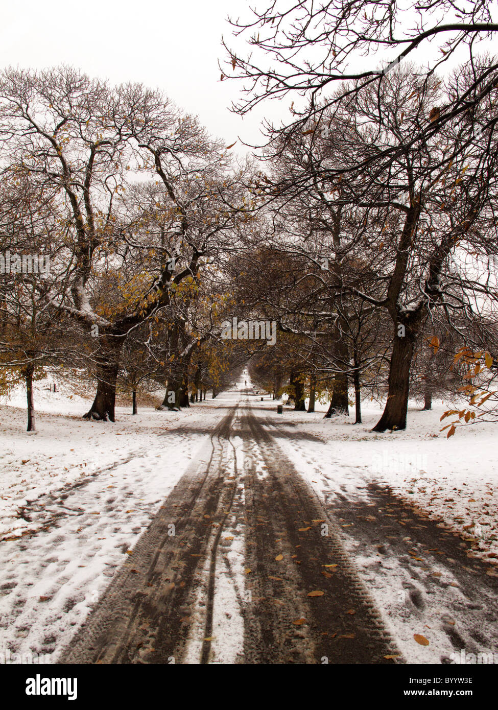 London park after snow hi-res stock photography and images - Alamy