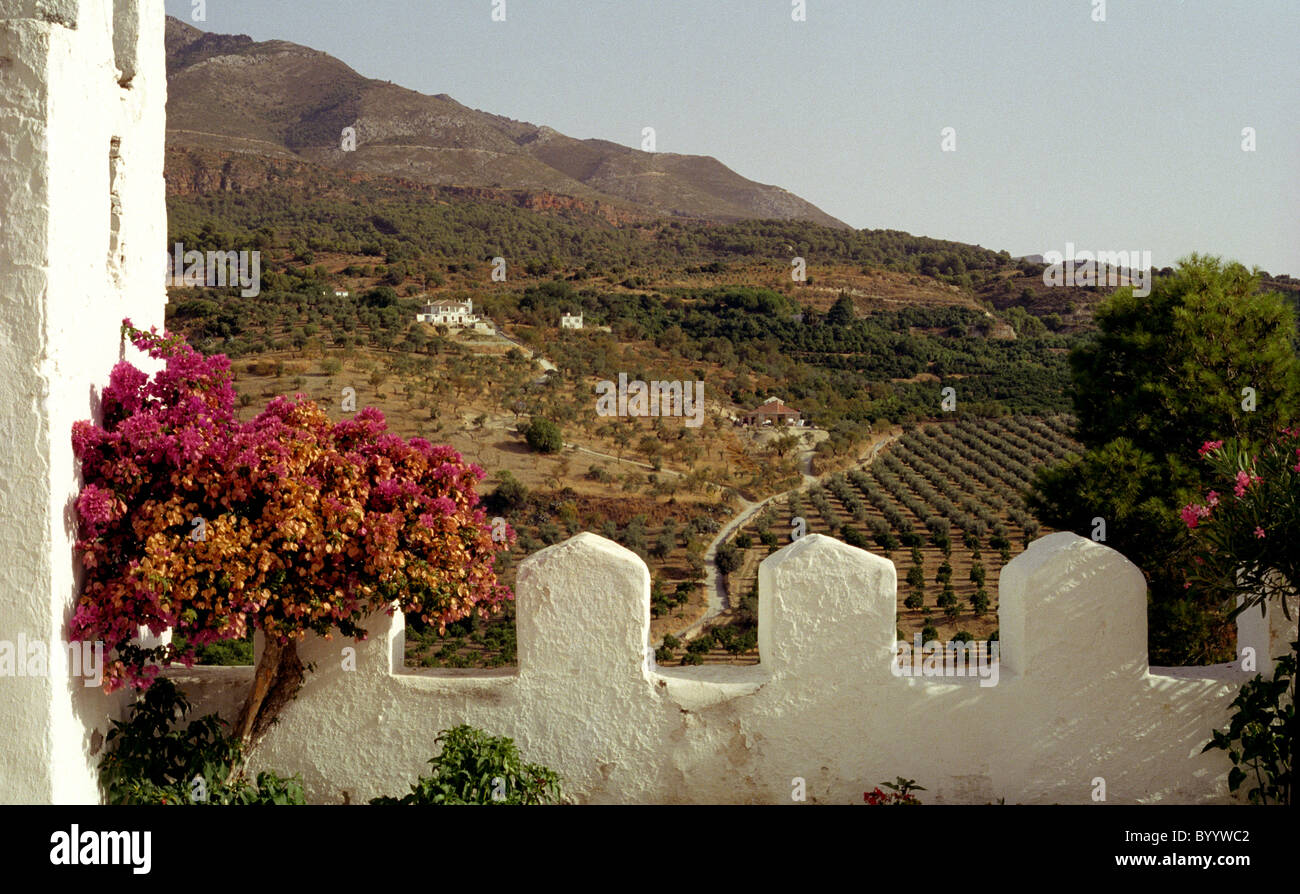 Casle walls at Andalucian village of Alozaina , Malaga province Spain Stock Photo