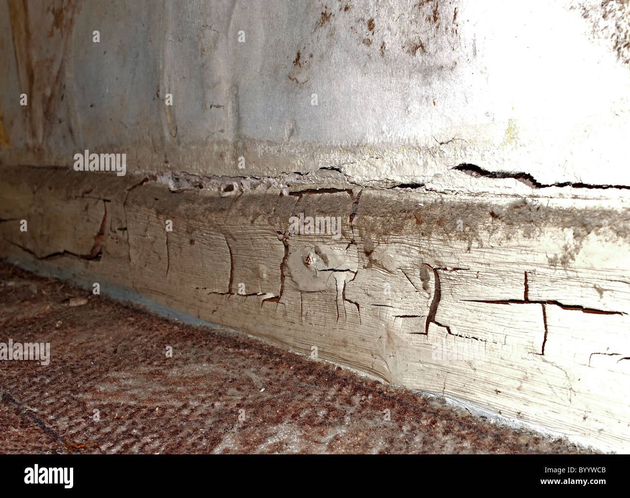 Dry rot in the skirting board of an old cottage Stock Photo