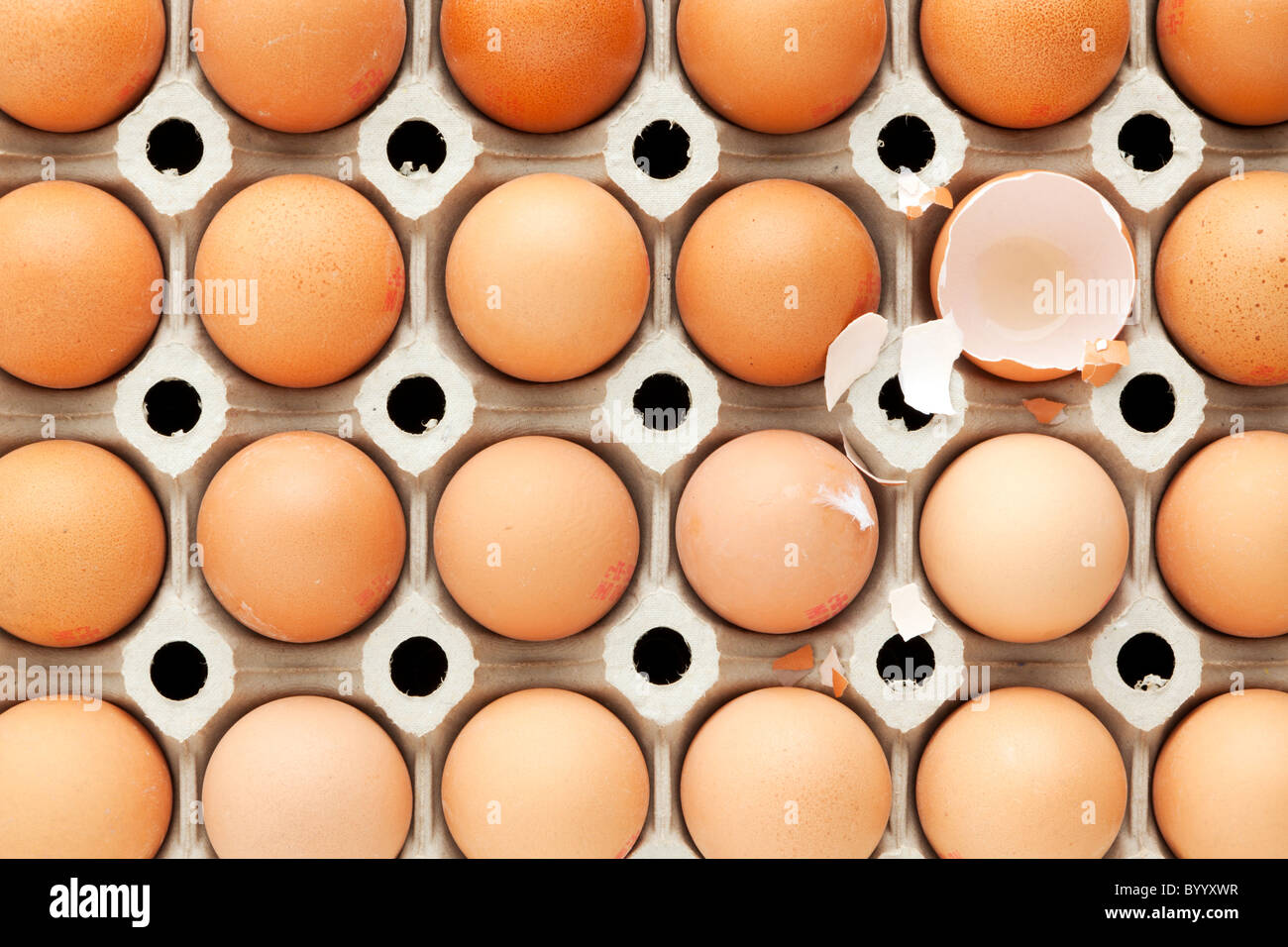 brown eggs in cardboard tray seen from above, one egg is broken and empty, traces of eggshell and feather around Stock Photo