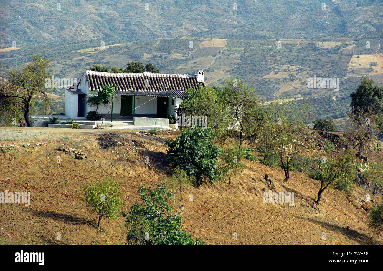 Small rural house in Andalucia Spain Stock Photo Alamy