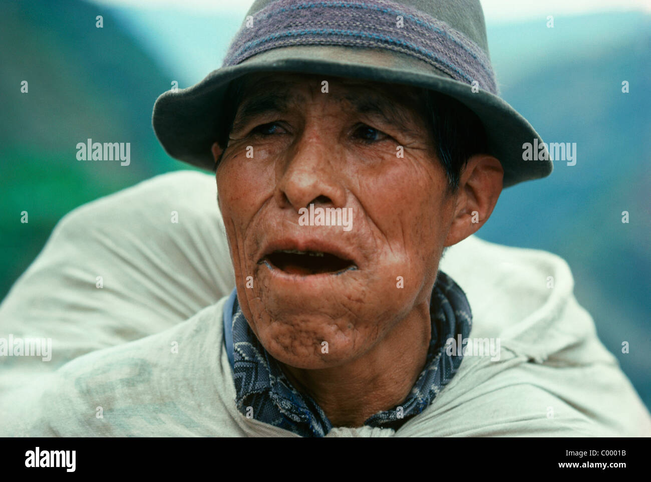 Peasant Coca farmer chewing coca leaves as a stimulant. Cochabamba
