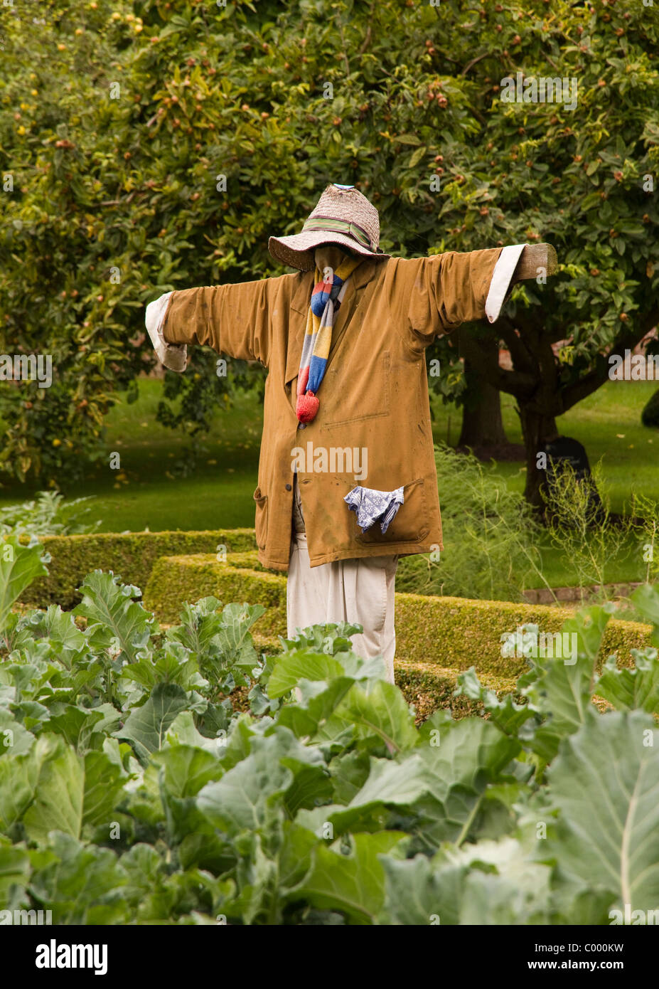 Well dressed scarecrow in vegetable garden. Stock Photo