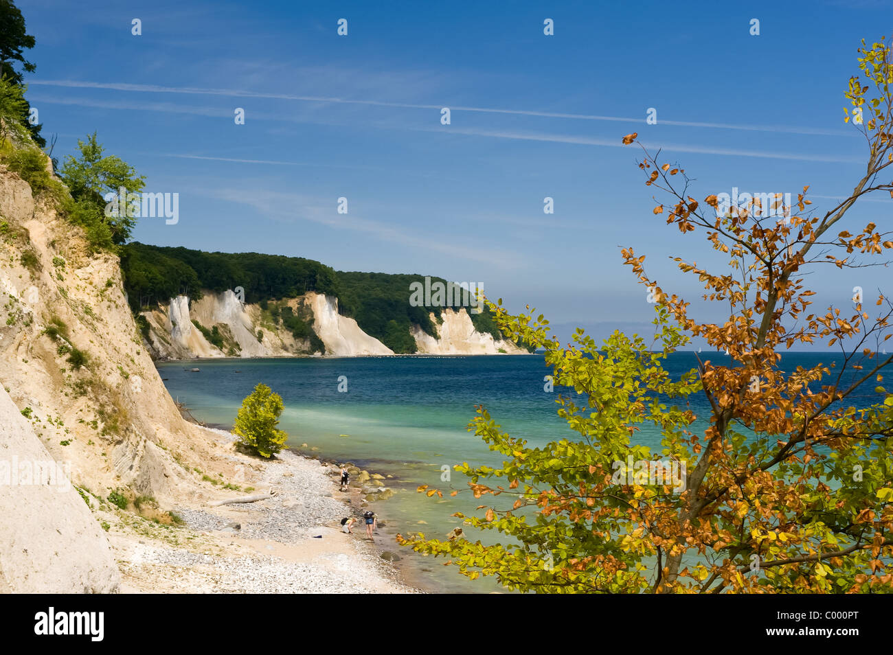 Nationalpark Jasmund Ostsee Ruegen chalk cliff Stock Photo