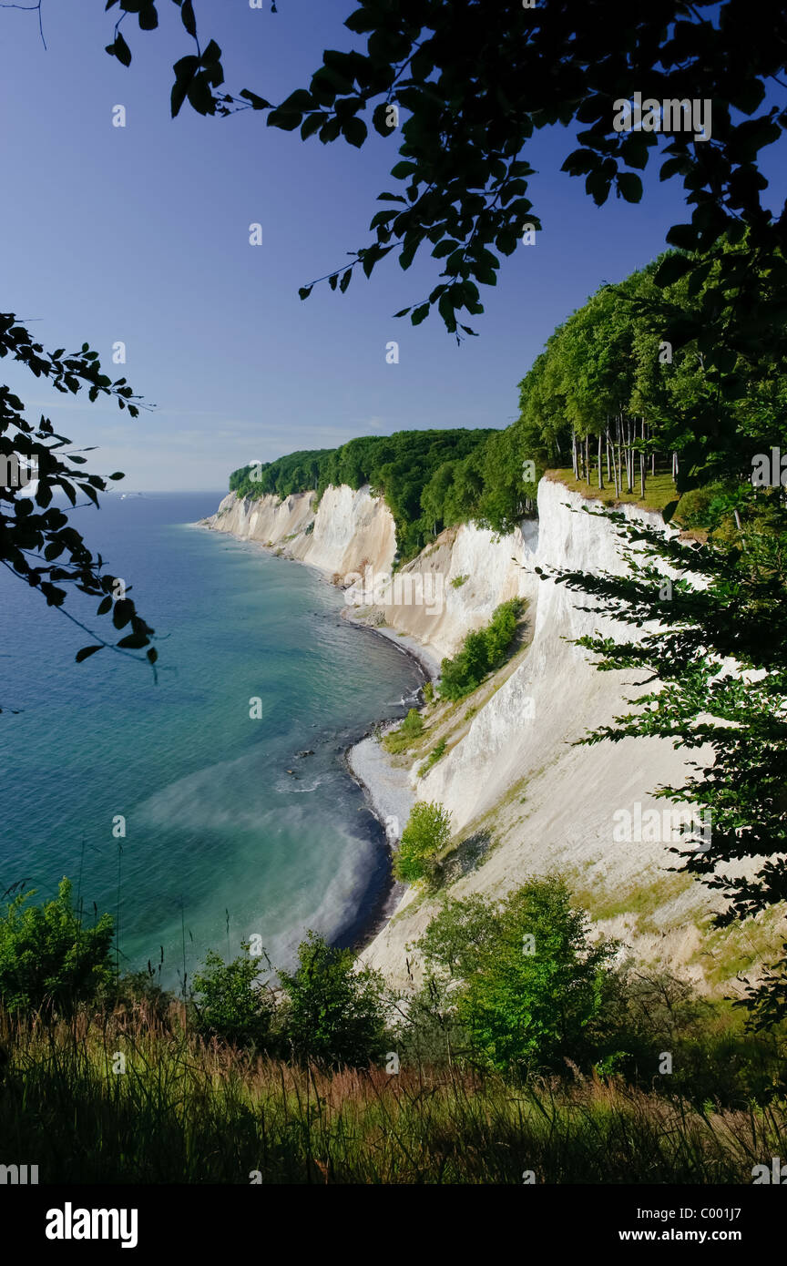 The famous chalkcliffs at Ruegen Island, Baltic Sea Germany, Europe Stock Photo Alamy