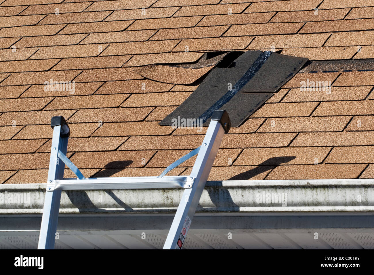 Fixing damaged roof shingles. A section was blown off after a storm