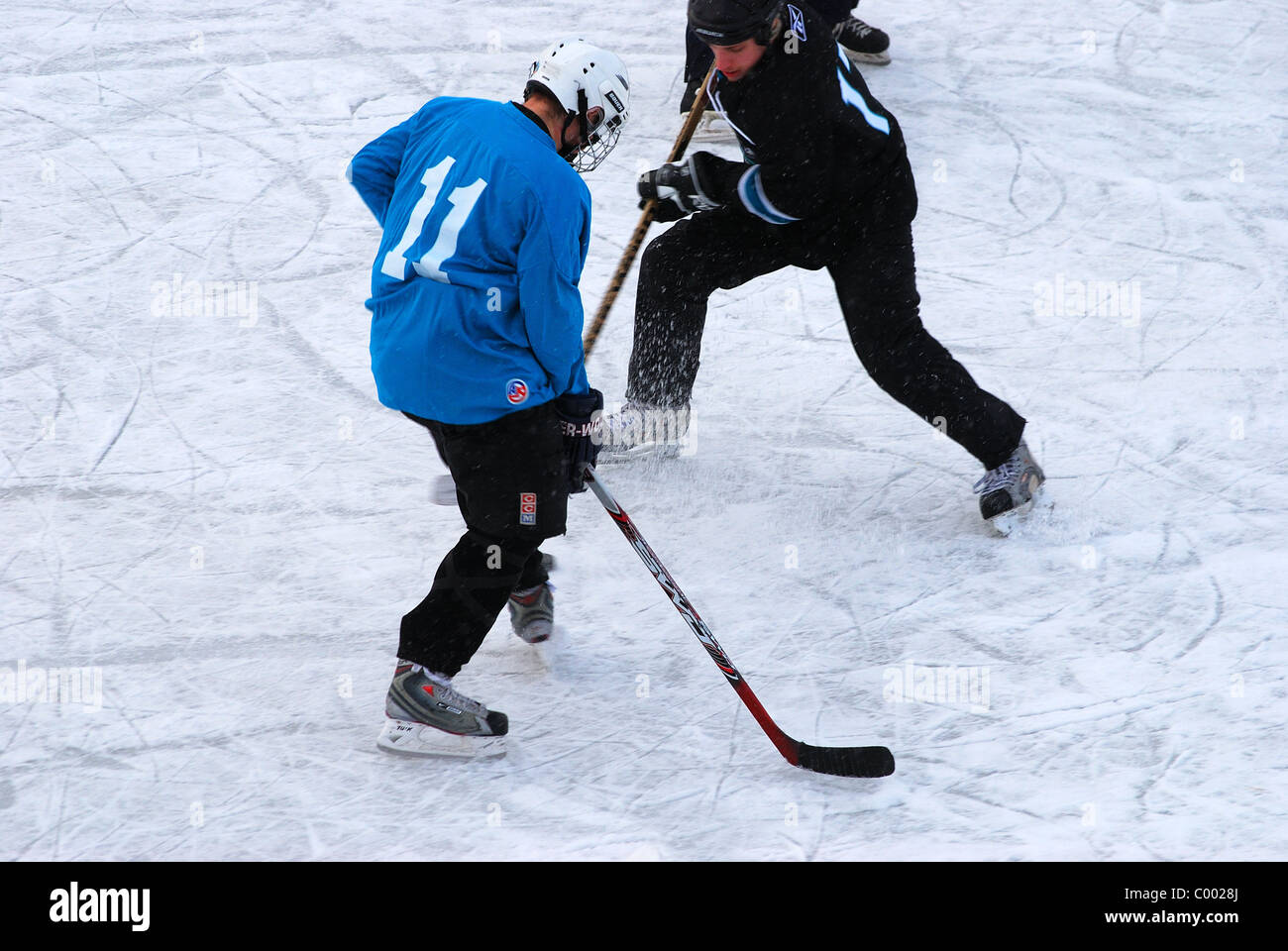 Two amateur hockey players vie for control of puck. Stock Photo