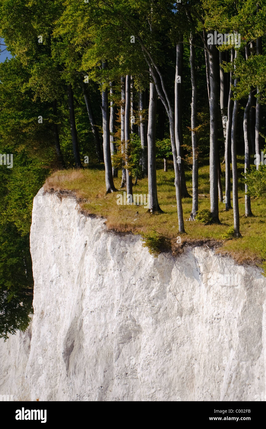 The famous chalkcliffs at Ruegen Island, Baltic Sea Germany, Europe Stock Photo Alamy