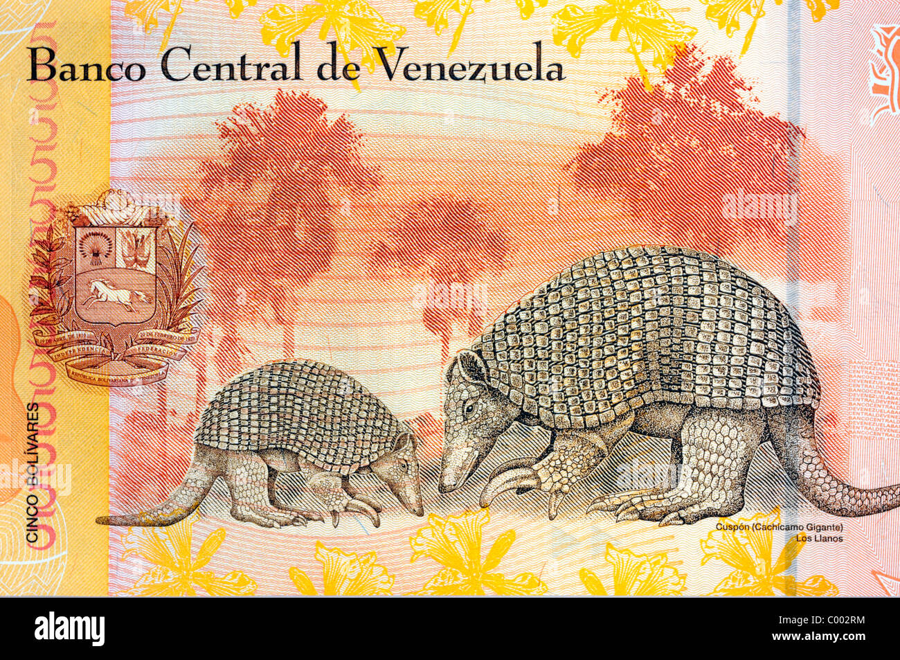 Venezuela 5 Five Cinco Bolivares Bank Note. Stock Photo