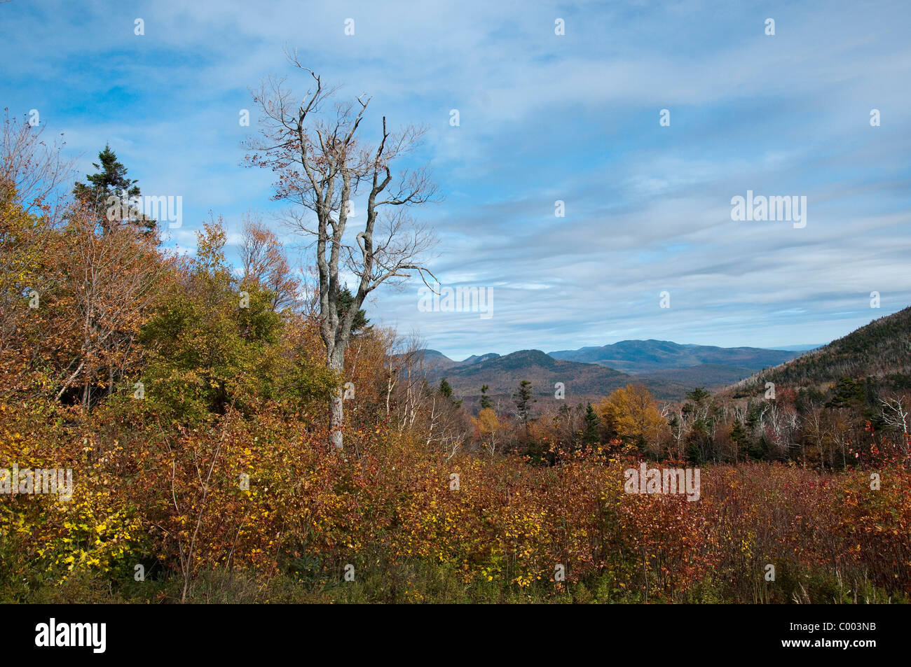 Wildcat Mountain is a mountain located in Coos County, northern New