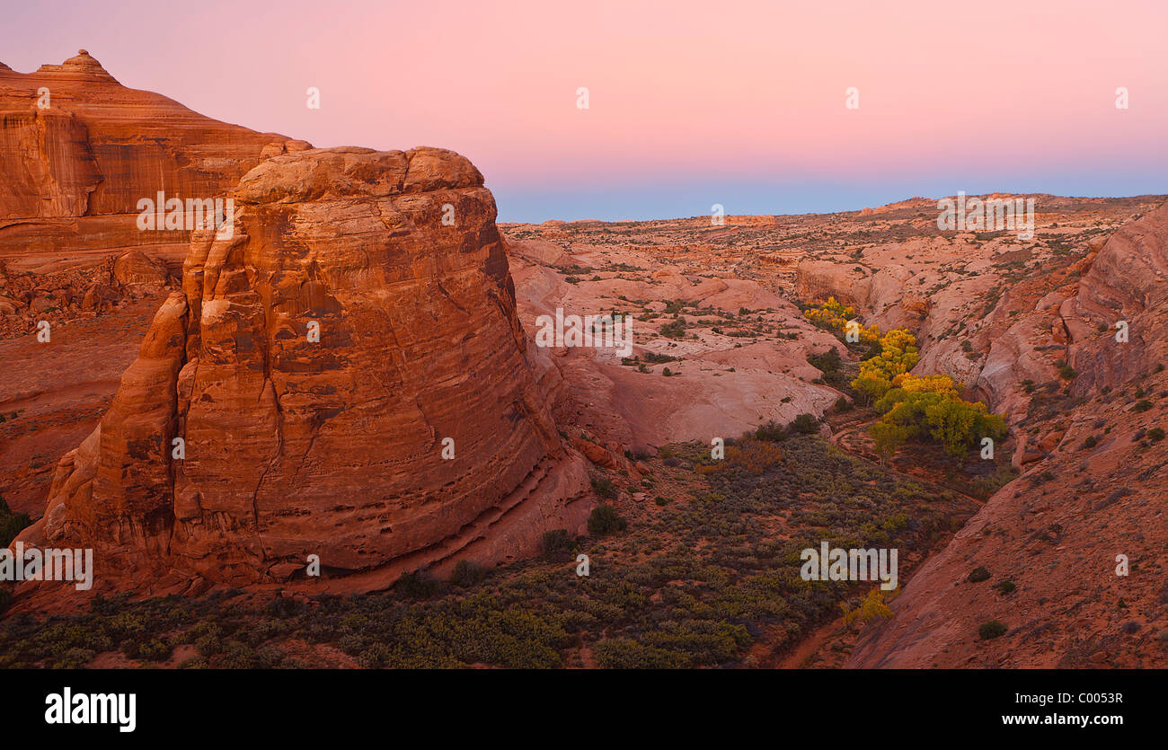 Dusk hues hang over red rock and Cottonwood trees of Arches National Park, Utah, USA. Stock Photo