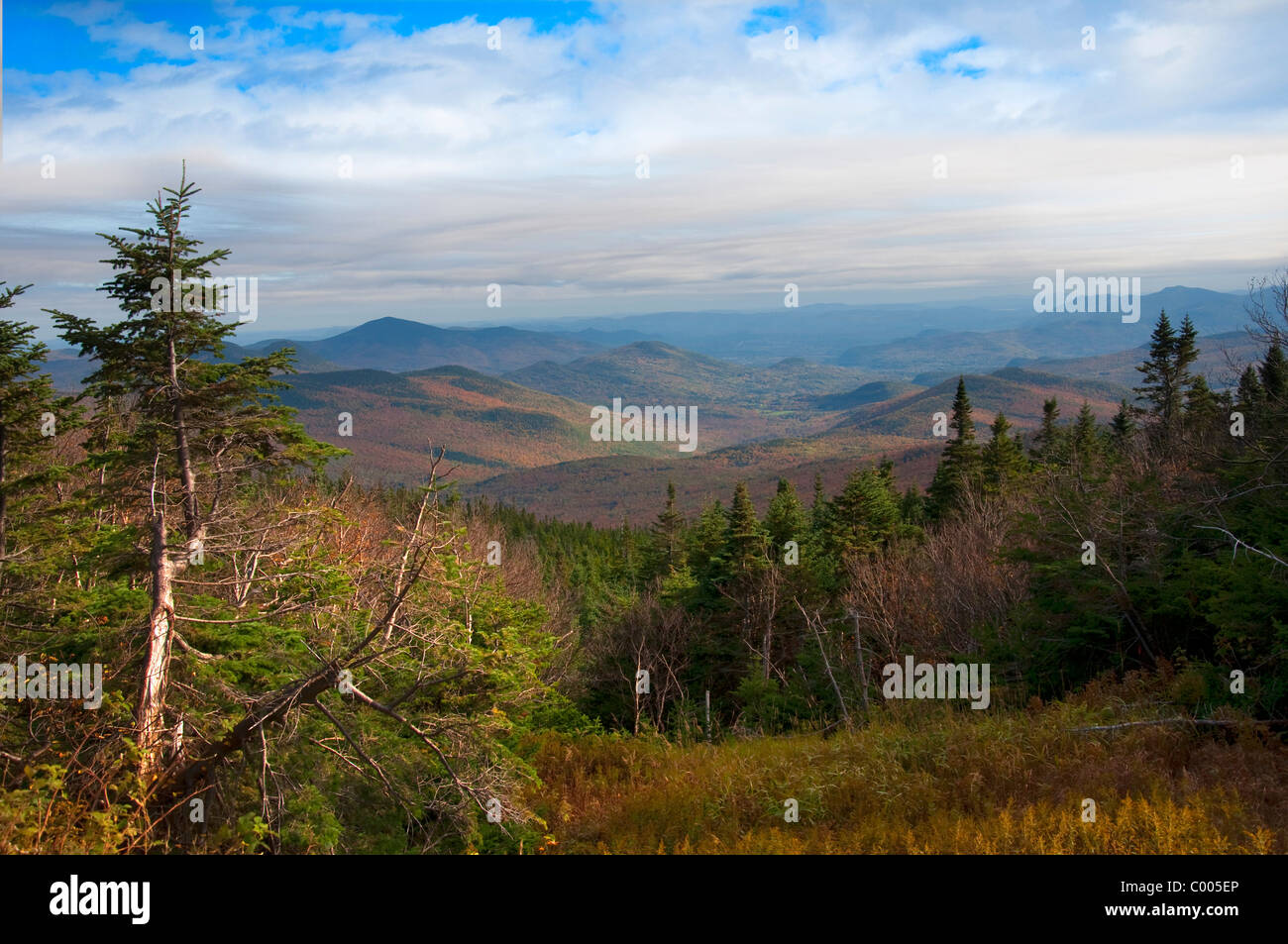 Wildcat Mountain is a mountain located in Coos County, northern New