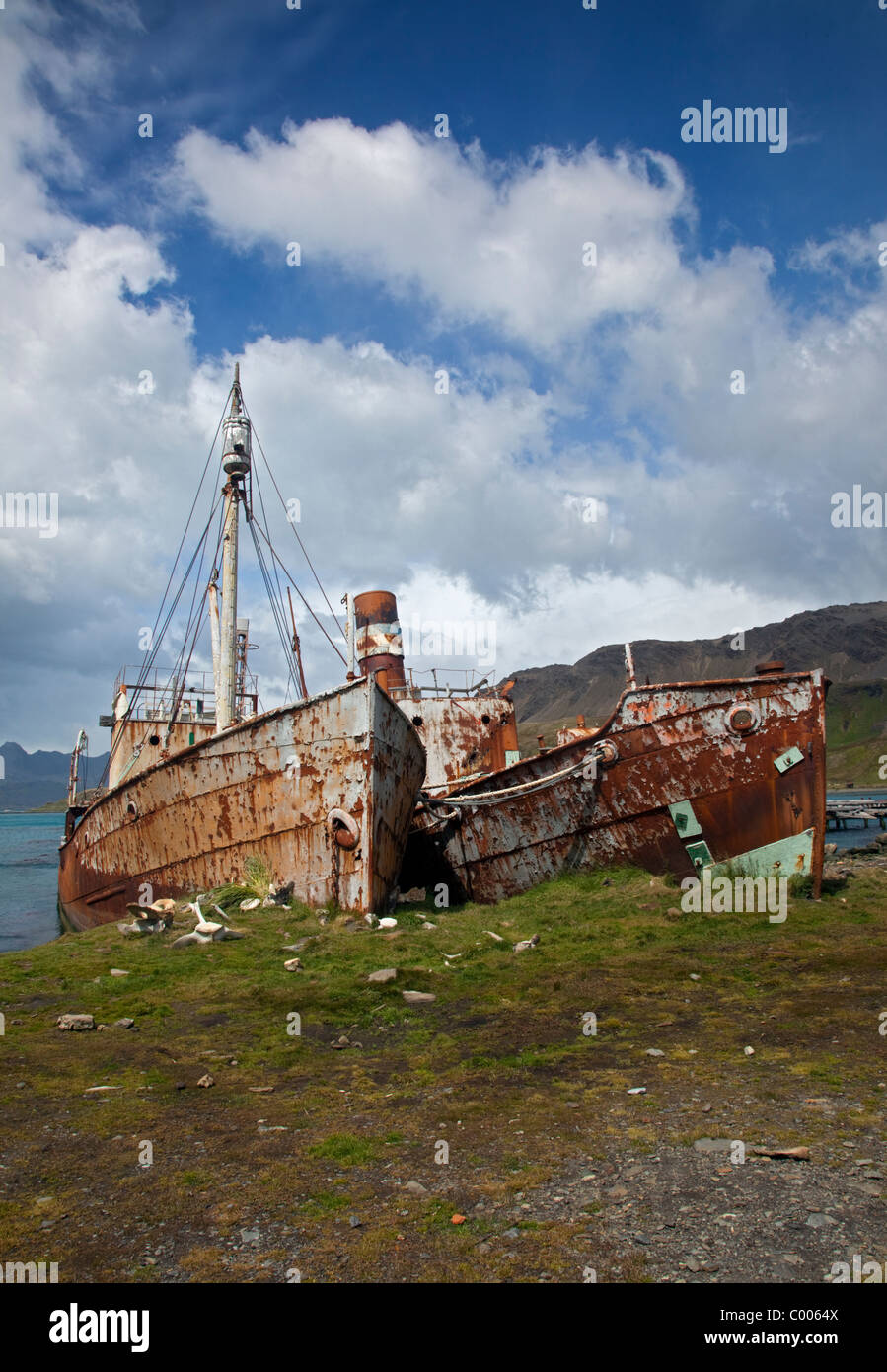 Rusty Shipwrecks at Grytviken Harbour, South Georgia Stock Photo