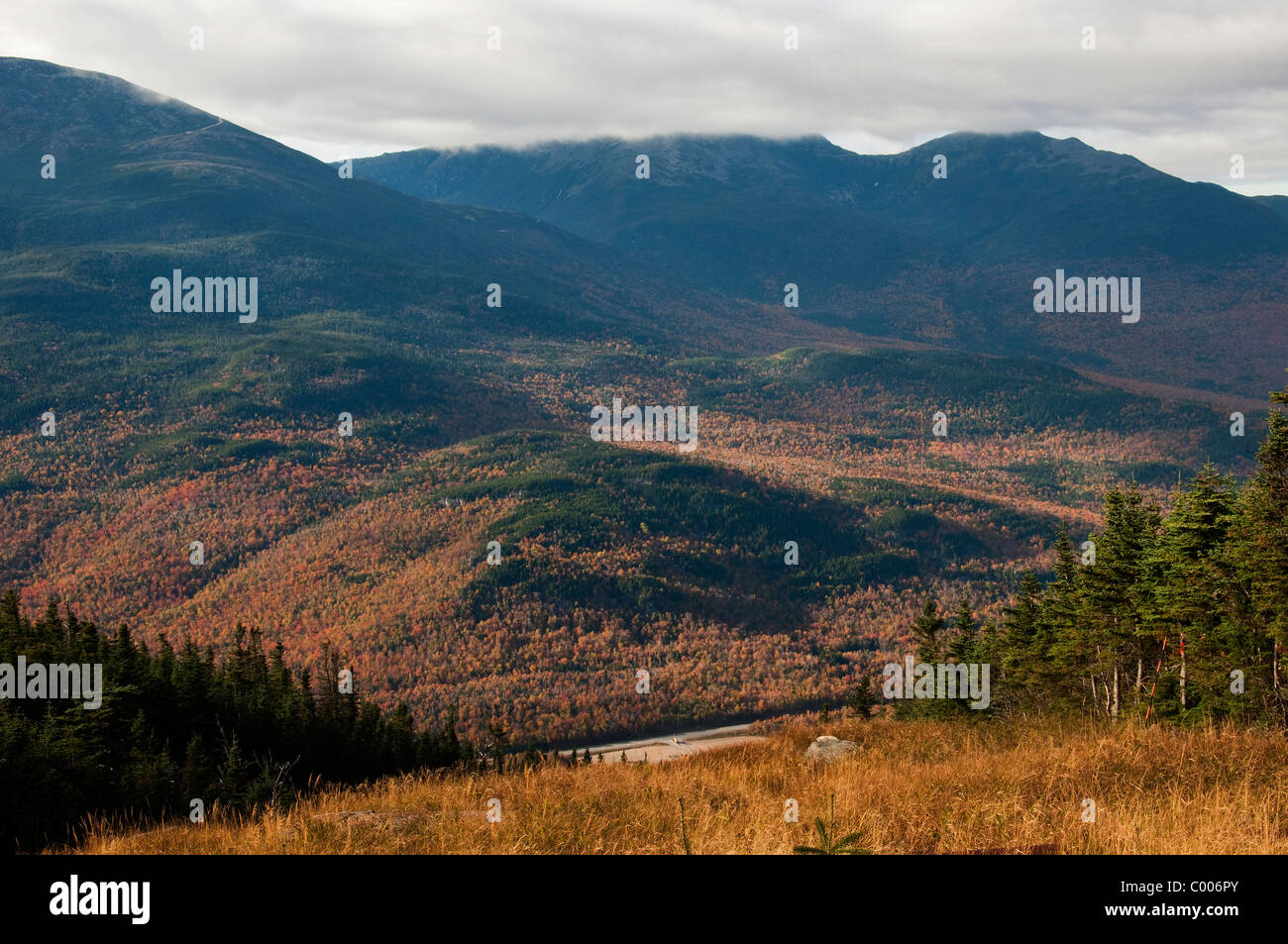 Wildcat Mountain is a mountain located in Coos County, northern New