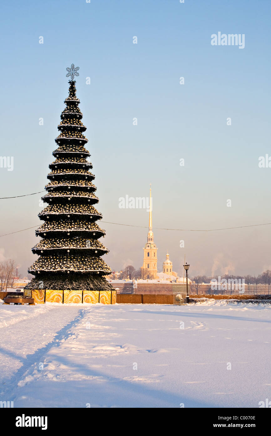 Russia st petersburg christmas tree hires stock photography and images