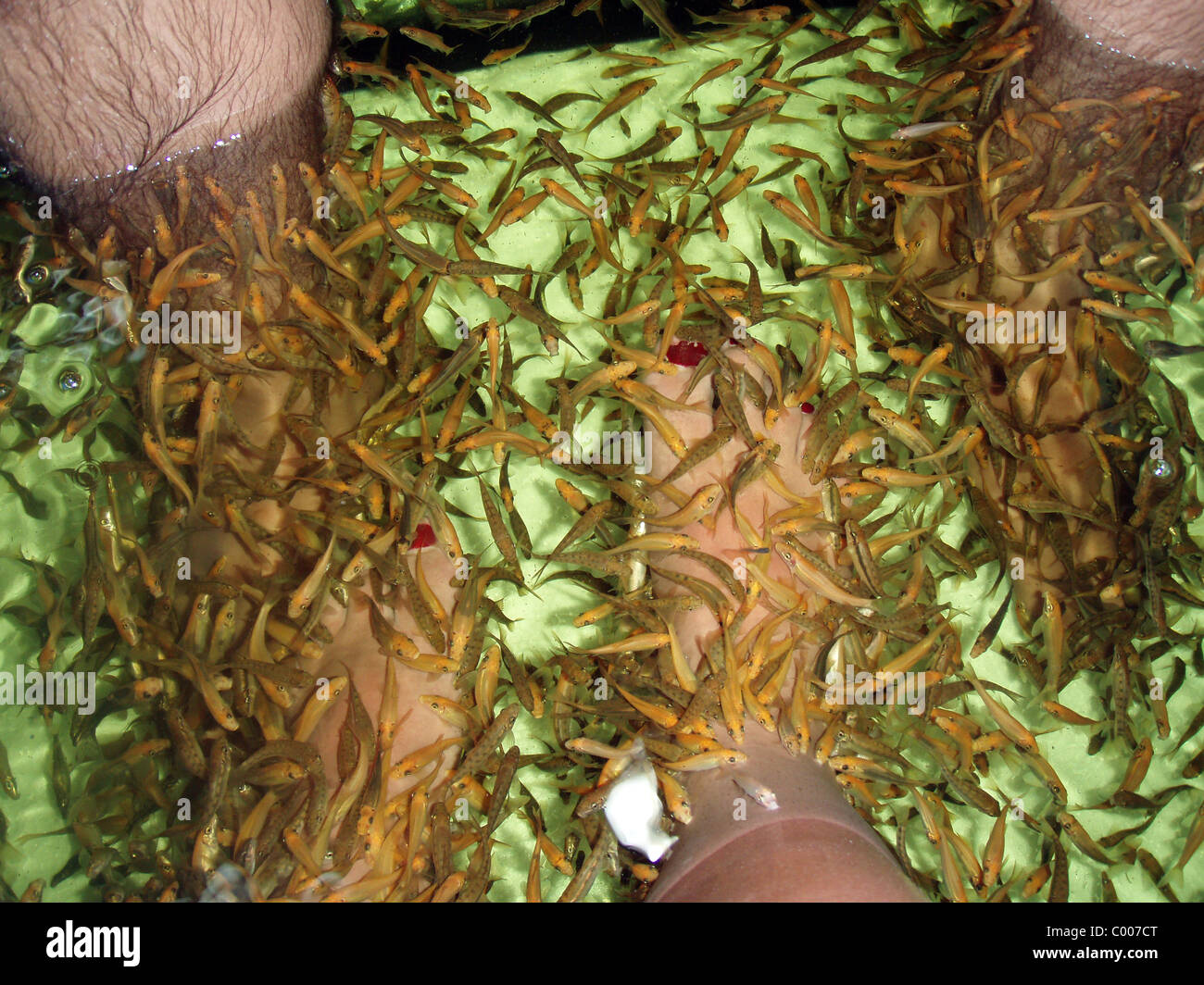 Small fish eating loose skin parts from the feet Stock Photo Alamy