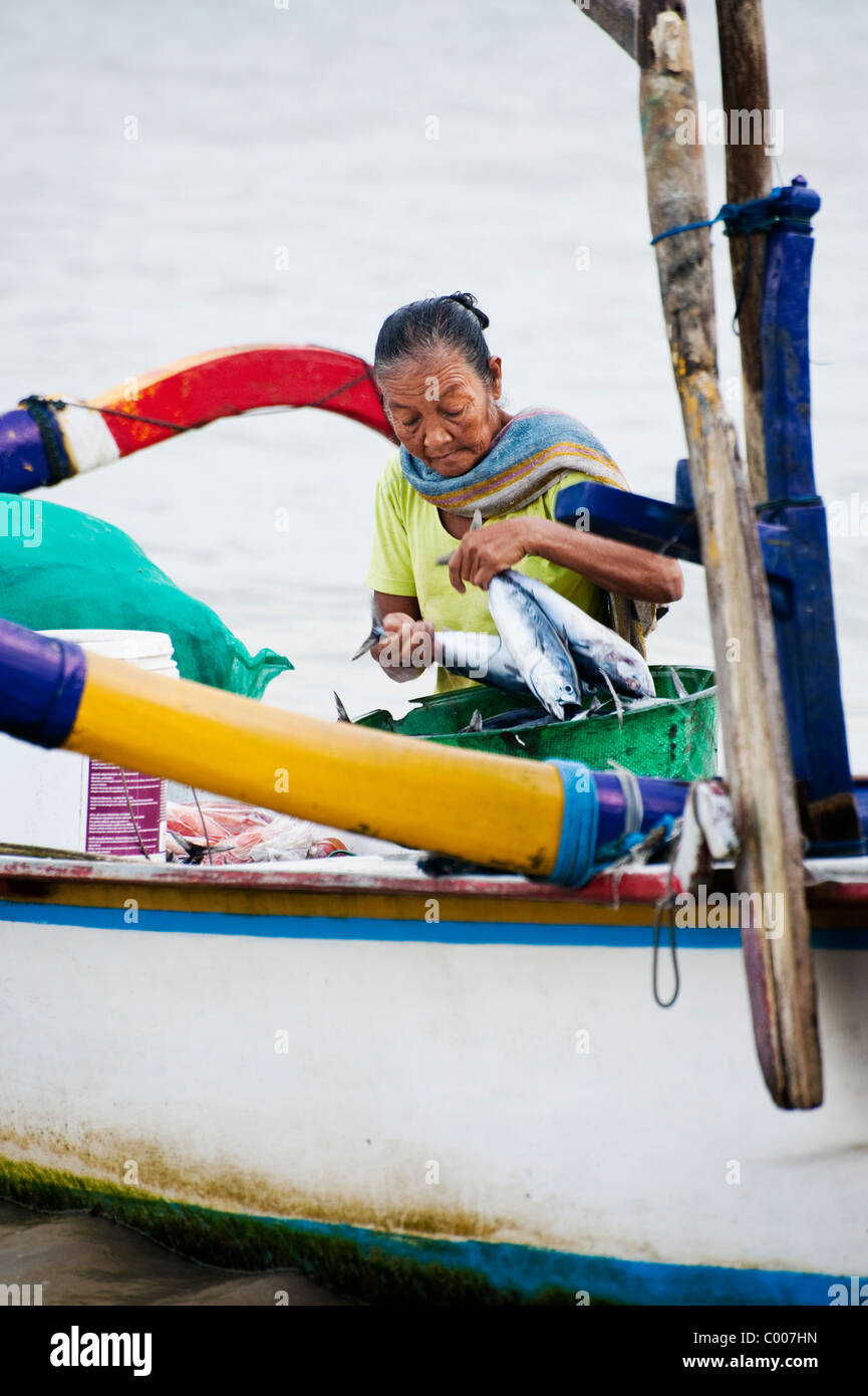 Balinese fishermen return to shore after a night of fishing for mackerel. The colorful outrigger boats are called jukung . Stock Photo