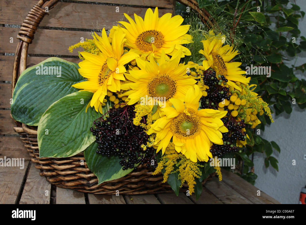 Sonnenblumen im Korb, Blumenbouquet, Sunflowers in basket Stock Photo