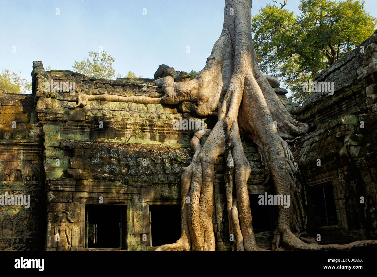 Ta Prohm Khmer temple, Siem Reap, Cambodia Stock Photo
