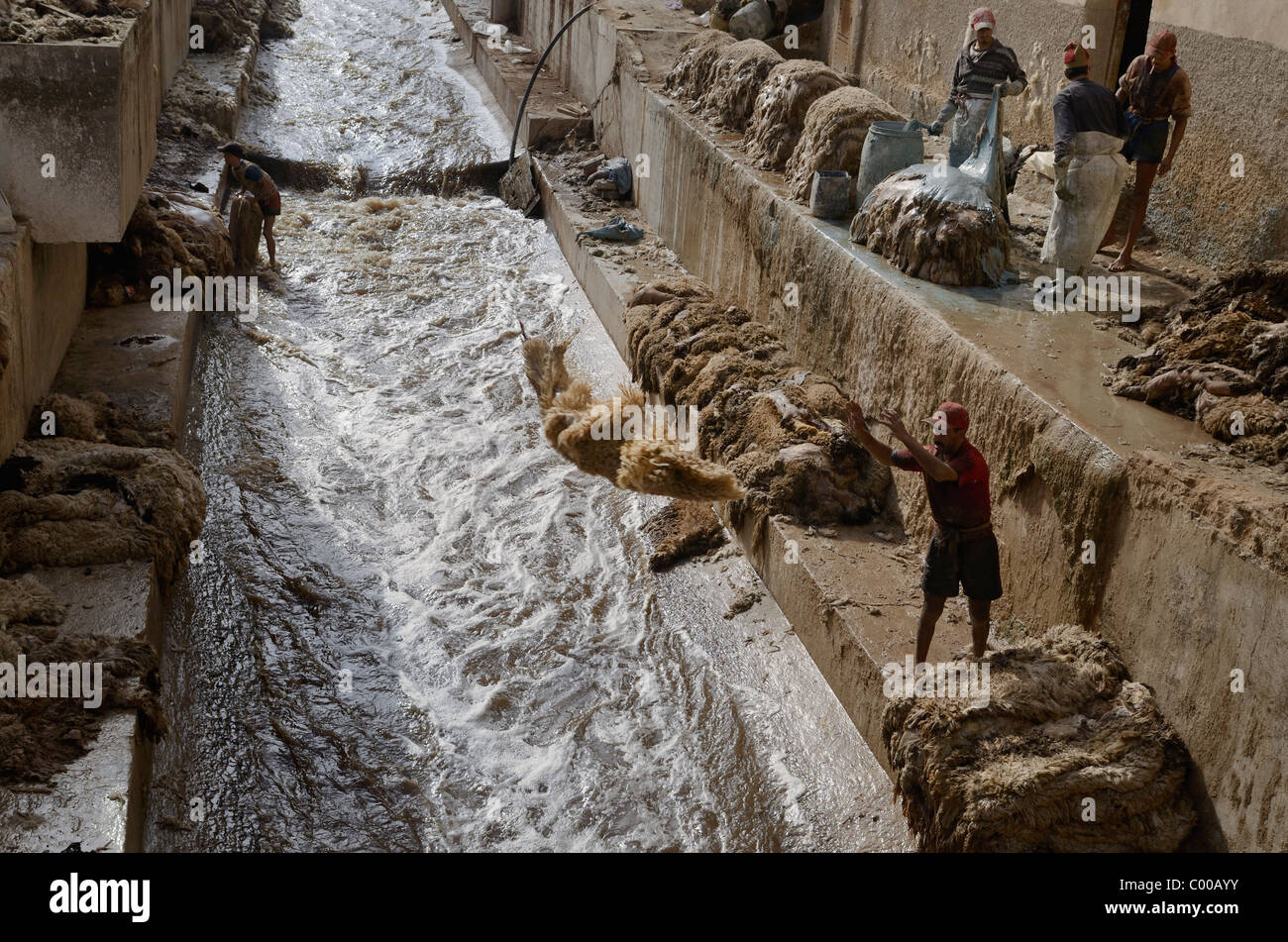 Tannery workers throwing and washing sheep pelts and painting sheep skins with blue chrome at the Fes river Morocco Stock Photo