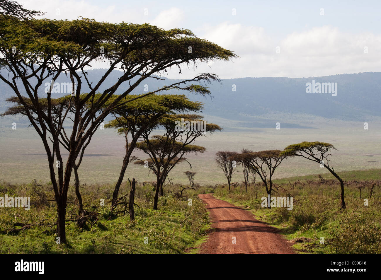 Road descending into Ngorongoro Crater, Tanzania, Africa Stock Photo